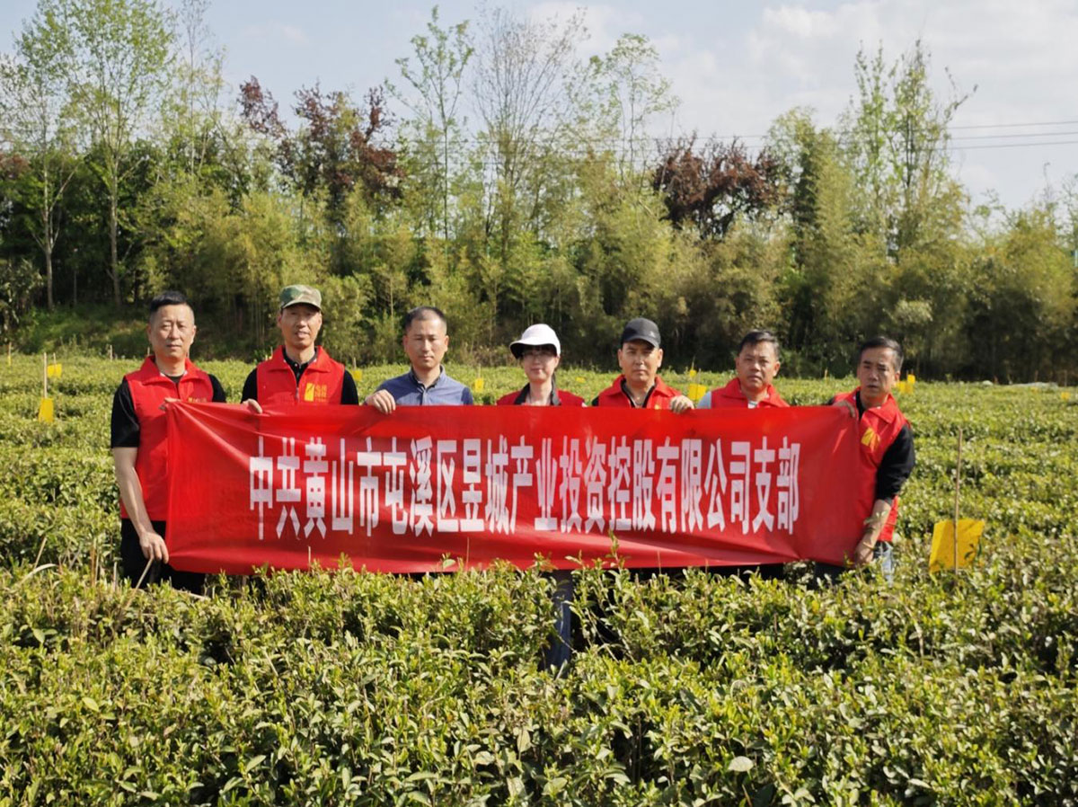 昱城產(chǎn)投公司黨支部開展“茶香潤(rùn)初心，黨旗映茶園”主題黨日活動(dòng)