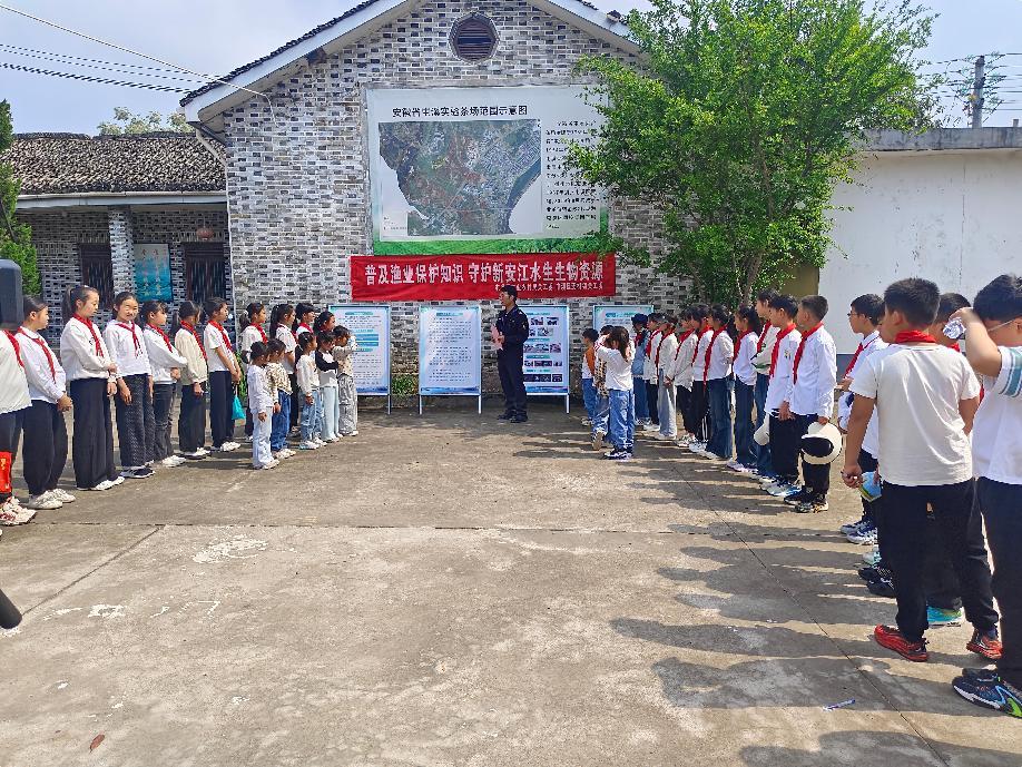 區(qū)關工委組織學生到實驗茶場開展茶文化主題實踐活動