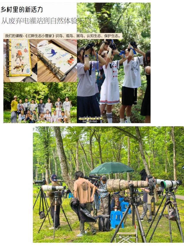 8000萬熱度炸屏！屯溪“護(hù)村小祖宗”聯(lián)動(dòng)短劇頂級(jí)頭部平臺(tái)帶火綬帶鳥，短劇+文旅解鎖鄉(xiāng)村振興新密碼