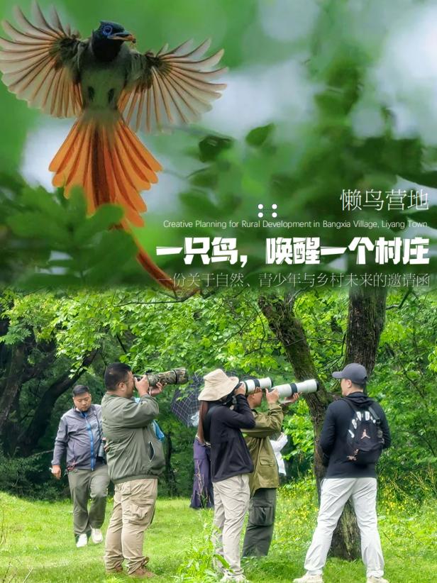 8000萬(wàn)熱度炸屏！屯溪“護(hù)村小祖宗”聯(lián)動(dòng)短劇頂級(jí)頭部平臺(tái)帶火綬帶鳥(niǎo)，短劇+文